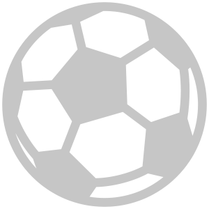 soccer ball icon