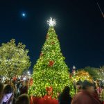 brightly lit tree against a dark night sky filled with stars